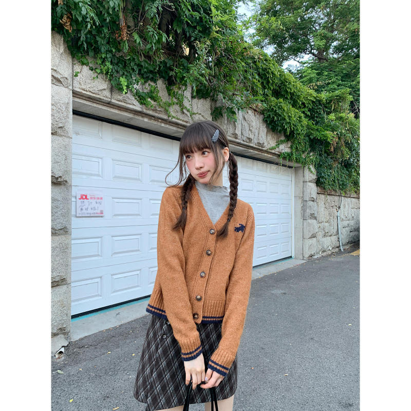 College Style Puppy Embroidery V-Neck Knitted Cardigan for Women, Autumn 2025 New Soft and Casual Top