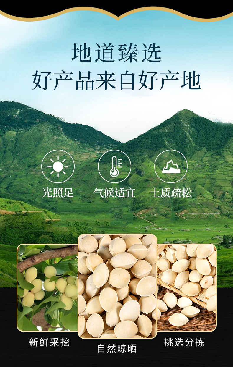 Bai Guo (Ginkgo biloba Seed) — Dried Food Herb, 500g, Natural Sun-Dried overview