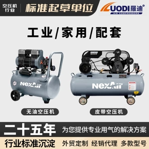 Rodi Air Pump Small 220V Oil-Free Silent Mini Air Compressor for Woodworking and Painting Portable Air Compressor Piston