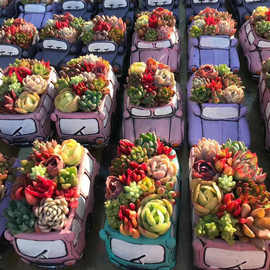 多肉植物创意盆栽花盆可爱卡通小汽车个性儿童幼儿园水泥花盆厂家