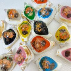 琥珀サザエ天然サザエ貝殻観光記念品工芸アクセサリー創意置物結婚祝い置物撮影コレクション