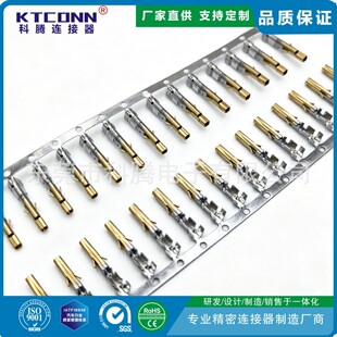 5557 5556-4.2�Ͻ��~�����僽������X�Դ���� �@���B��������