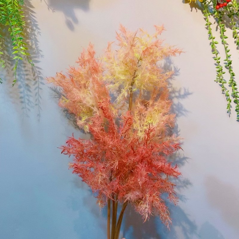 微信图片_20240310121725