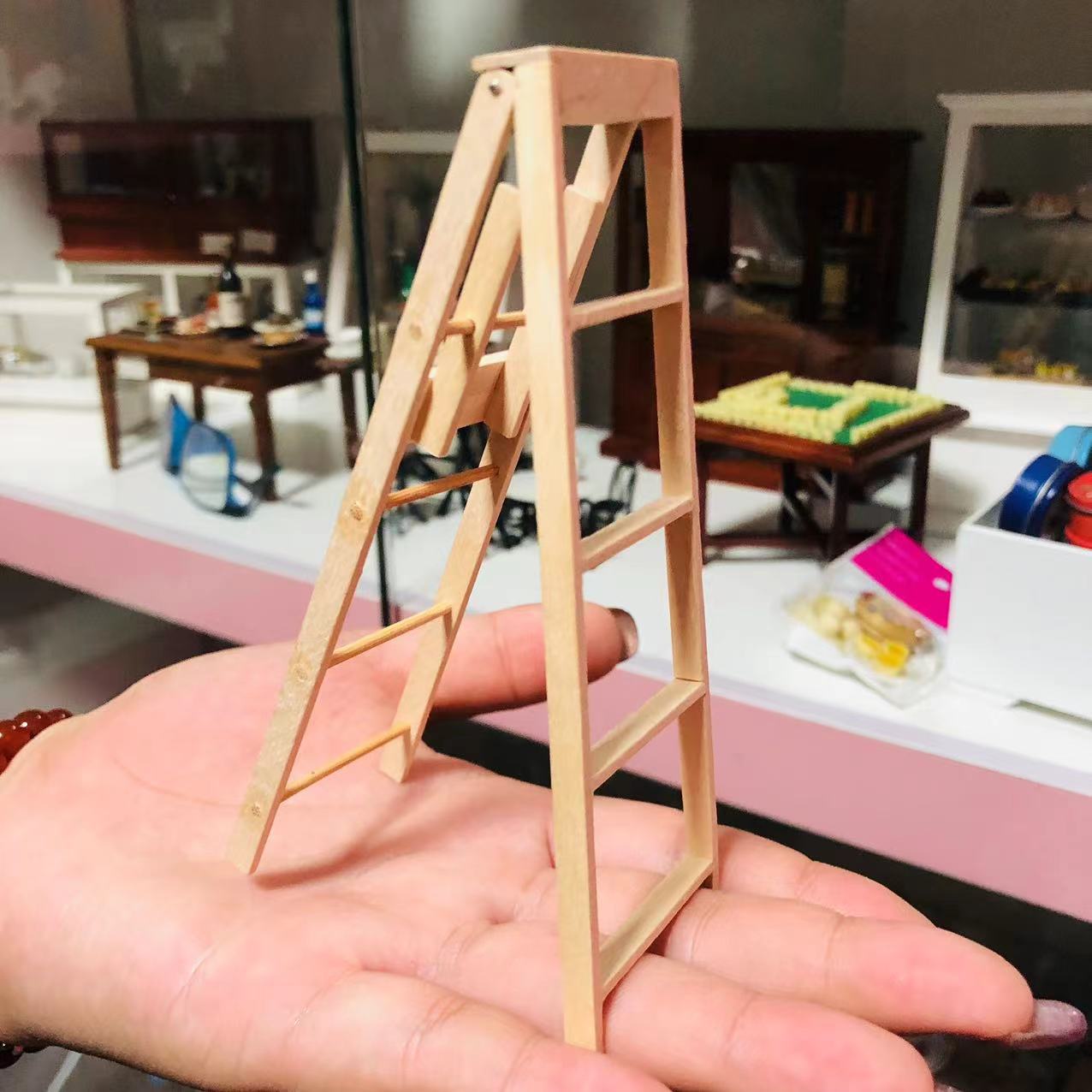 dollhouse  ʳ��ģ�ͷ���������������������Ӳ��ǻ�԰����