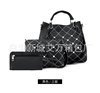 Set, fashionable bag strap one shoulder, suitable for import, 2021 collection, Korean style, 3 piece set