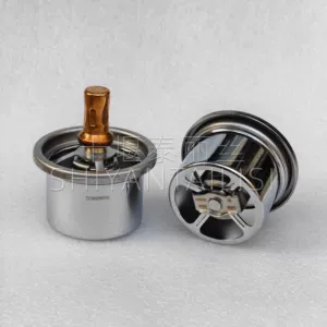 3629205 5538724 Thermostat Suitable for Cummins K Series Engine Thermostat
