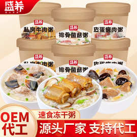 速食米粥皮蛋瘦肉冻干粥冲泡即食方便多口味懒人早餐粥块工厂代工