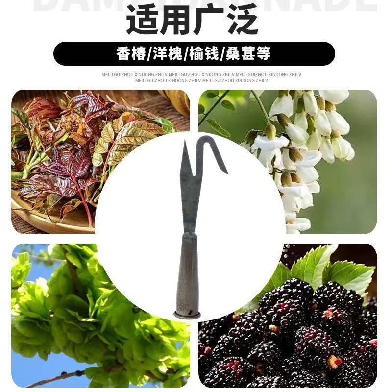 微信图片_20260321191605_257_28.jpg