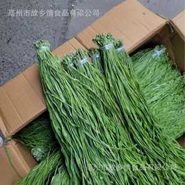 工厂产地直销批发贡菜干涮火锅脱水蔬菜新鲜无叶苔菜响菜贡菜干货