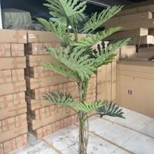 ֲ������2�ן��鴺��ϲ������������b��ܺ��s������w�辰