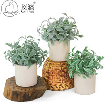 ¿ֲëС~ϼٲ辰bֲ[l