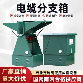 10KV电缆分支箱一进一出不锈钢分接箱dfw高压铜排连接分支箱35KV