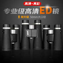 Ψؑϵ10x42ED/SMC/߷|ĤҕhRl