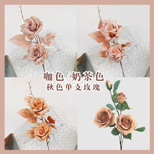 ����ɫõ��ٻ��̲�ɫ��Y�������Z���^õ����c��ɫ���滨�b�