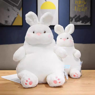 ë�q��ߴ���ù���㼑�������ِ�ش������ż�����ެF؛