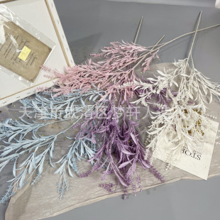 ���汱�W���K�� ��c����bҾӔ[�����߻�ˇ��Y��·���廨