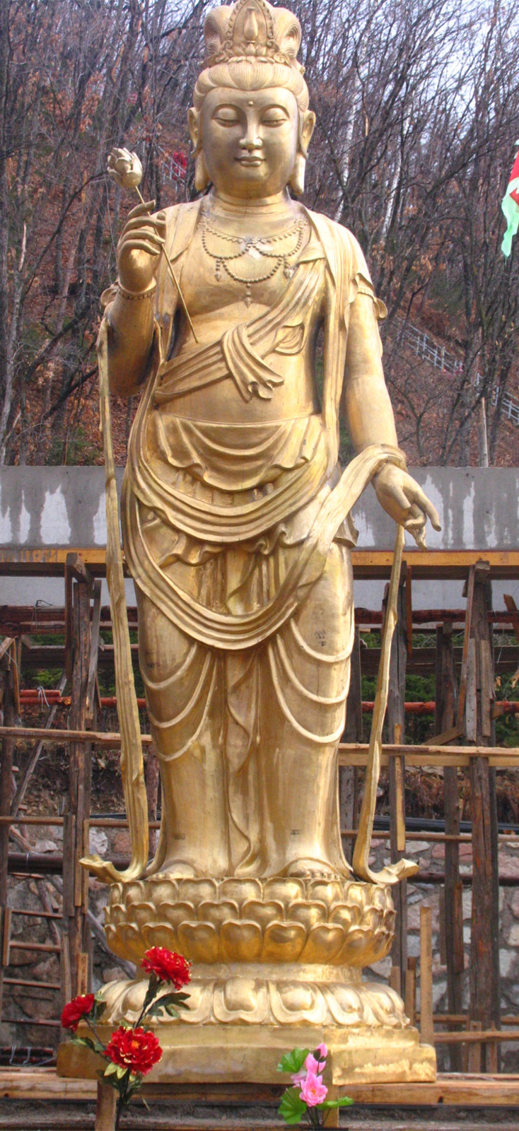 详情图
