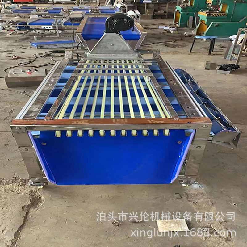 皮带式脐橙 土豆贡柑分级机 骏枣选果机 尺寸可调不伤果分选机