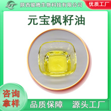 元宝枫籽油神经酸骏腾生物元宝枫籽萃取现货包邮量大从优