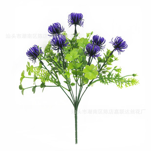 �S�����l �羳����7�^ʯ�⻨ �˰������Ͻz�� ����ˮ�ݬF؛�ɴ��l