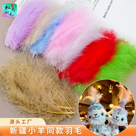 羽毛、羽绒;发带;发夹