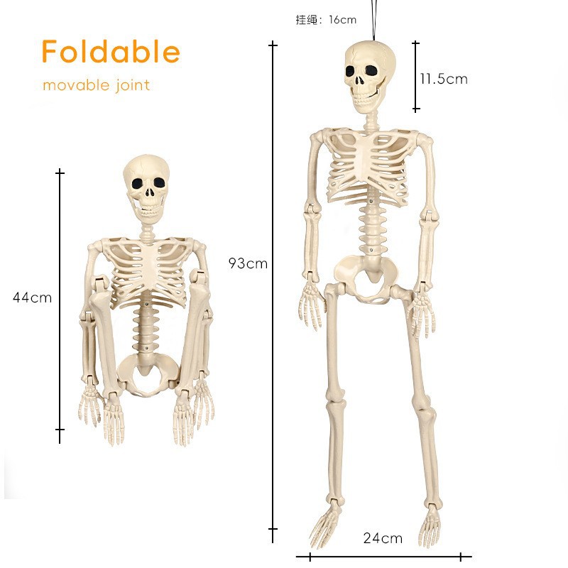 Esqueleto de Plástico Simulado de 60cm para Decoración de Halloween, Casa Embrujada, Props de Escena.