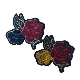 C12 õ����ˢֲ�q���w�� ��X������ ���b�����b��N�ɿp���٠C