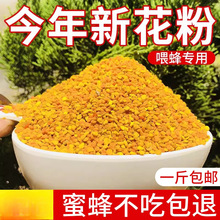 花粉养蜂包邮蜜蜂饲料喂蜂油菜杂粉颗粒状蜂粮养蜂中意蜂