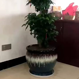 鱼缸;装饰花瓶;浴缸