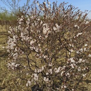 �t�~���� �G������ �t�~��G�h �t�~��С�� 50-180���ּt�~����