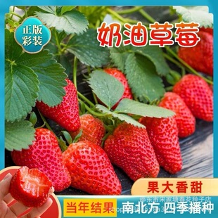 ļͼtݮNļYB׻̨ͥԺ߲ˮԷN