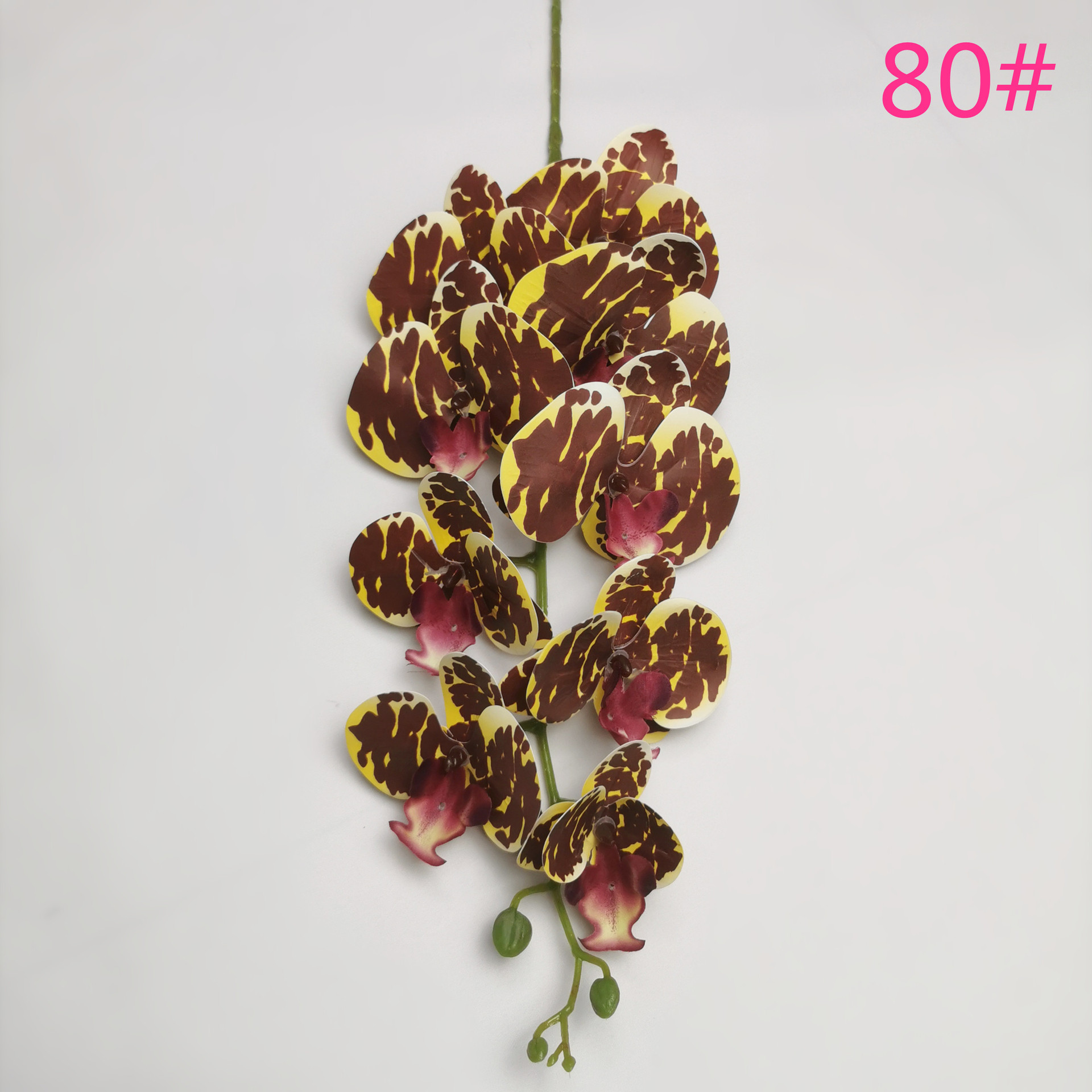 IMG_20220531_183730_副本