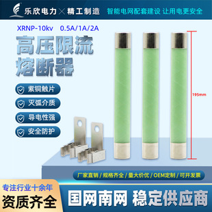 �߉������۔���XRNP1-10-12kv/0.5A1A2A�߷ֶ�����������PT�۹�