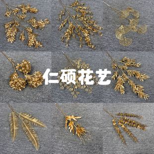 ��ɫ�ȼ������������~�ٻ���c�b�Ͱ��ɫ�y���~��ɫֲ�ﻨ��