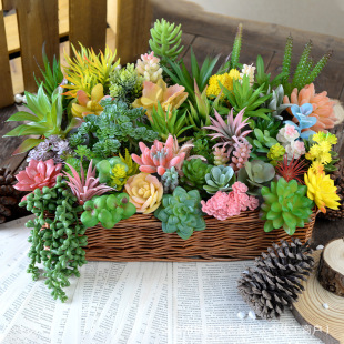 ����Gֲ�ٶ�������ֲ������С���͏d���Բ廨diy����ٻ����[��
