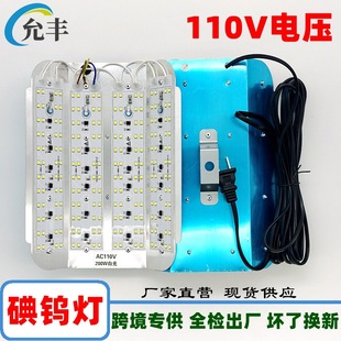 110V iodine tungsten lamp sun lamp stand led outdoor waterproof lamp 800w bright projection light