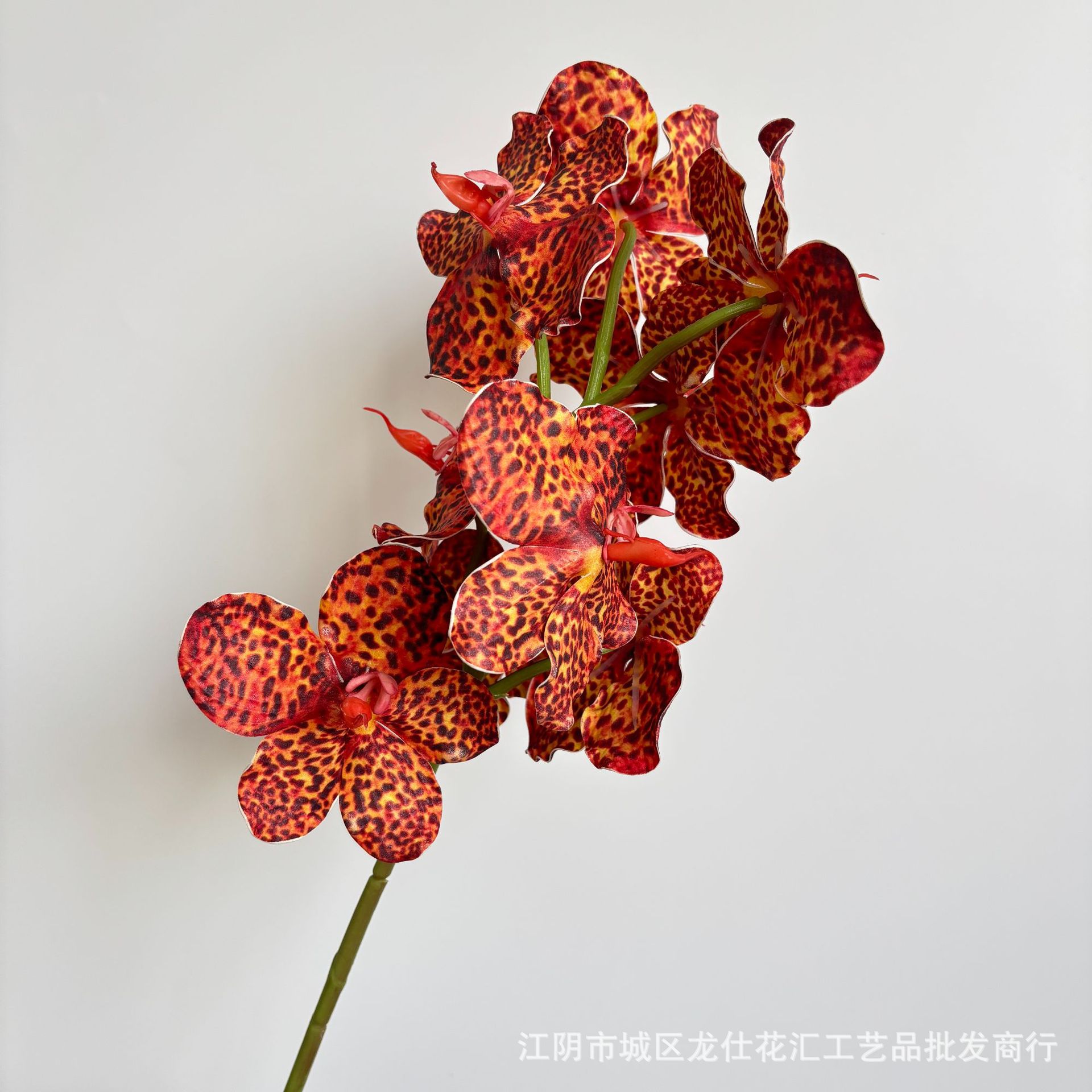 9 허기 밴다이 란 레오파드 프린트 레드