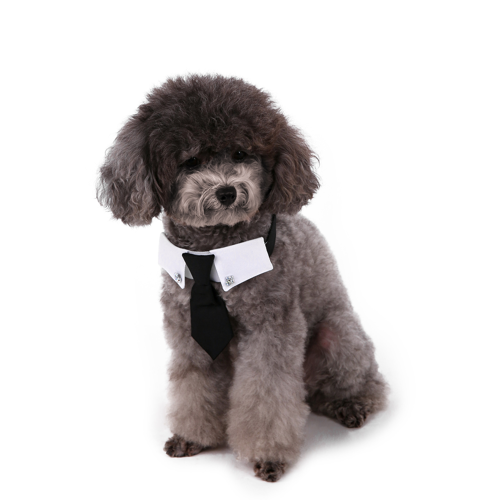 Perro transfronterizo estilo británico guapo traje de boda ropa de perro corbata collar decoración al por mayor
