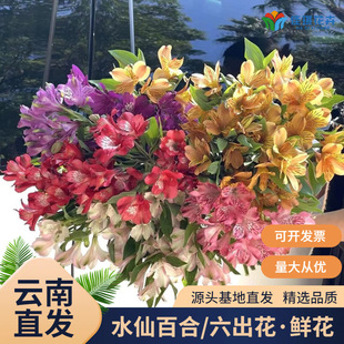���ֱ�lˮ�ɰٺ��r�����l��ͥ����Fُ�û����r�������������f