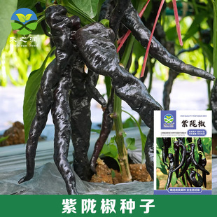 �������N���������N�����ں�ɫ���˽��N���߲˷N�Ӵ�ȫ�˷N�����l