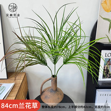 84cm�m���ݷ����F�����m�F��Ҿӿ͏d�k���ҾƵ���ؾGֲ���Ա��W
