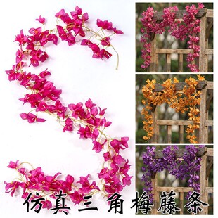 �羳���h�ٗl��Y���@����b����컨�������l����÷���_�m�ٗl