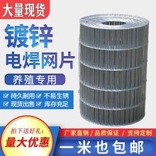 �B�\�W�g���W�Bֳ���ӾW늺��W���B�u�W�����û\��\�F�z�W�W�^�\