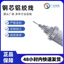 �о�X�g���S�� LGJ-300/40 630/45��N��̖  �����|���̌����F