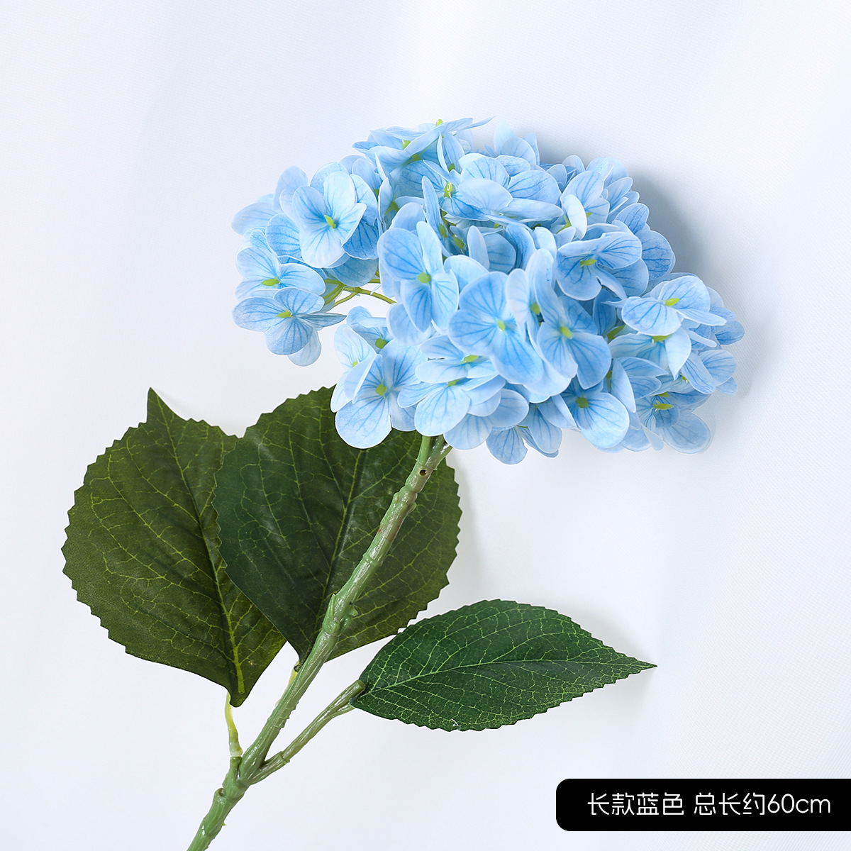 긴 수국 블루
