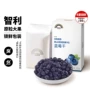 天虹即食特色儿童蓝莓干