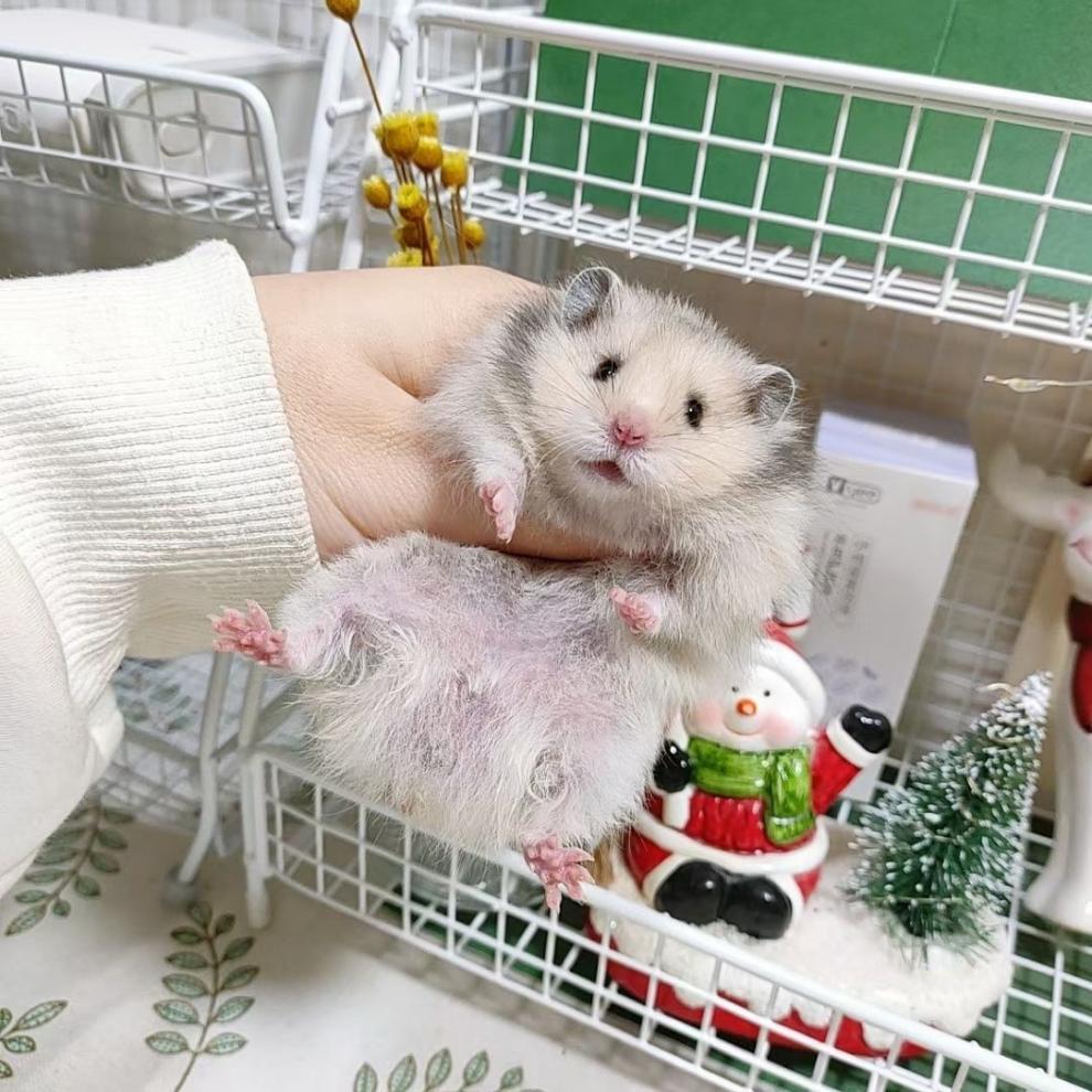 8d09626e-bd76-4c49-a926-c1fd48de6b54.jpe