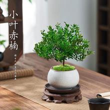 С�~����辰��z�ľ�҃�����С�����k��������Gֲ�ļ�������B