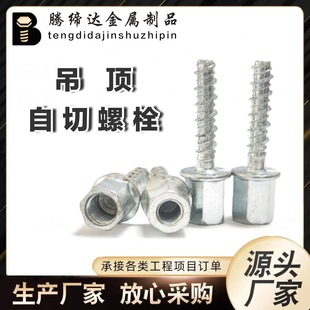 ���������˨���i�ԏ������͟���˨�羳�������Ӵ��B�ӽz�U���