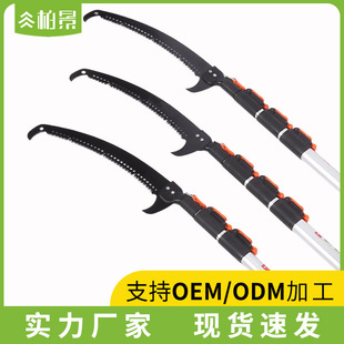 �߿���֦䏈@�־G������s��֦��������һ���L���@��֦�߿���֦�